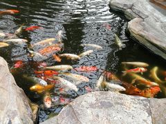 -龙达温泉生态城