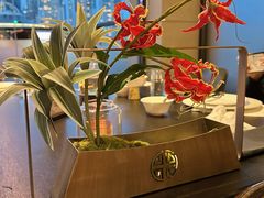 -RIVIERA 松鹤楼(外滩店)