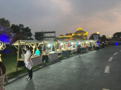 -荷兰花海