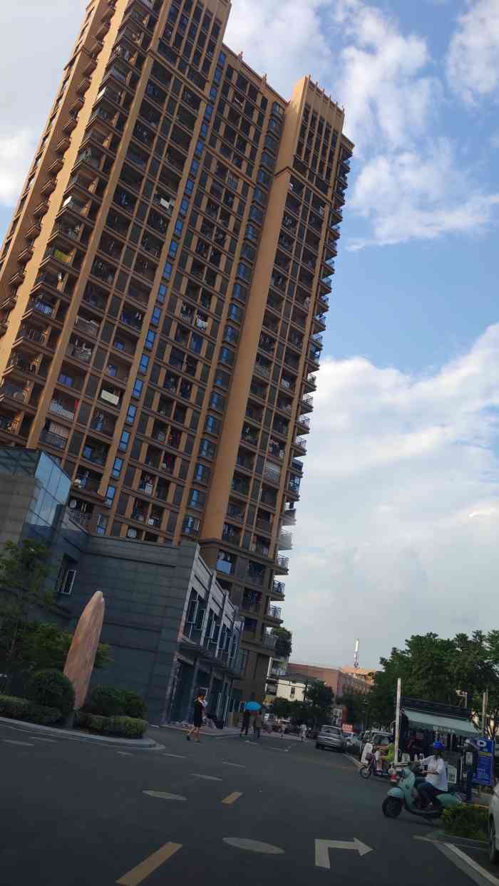 良和雅苑-"环境可以 但是闲杂人员太多 杭州政府就是.