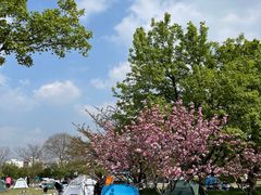 -玄武湖景区-情侣园游乐场