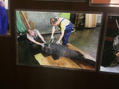 -玛宝鲜海鲜酒家
