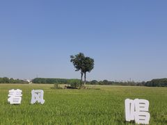 -嘉北郊野公园