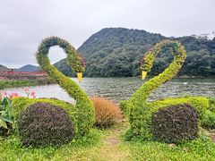 -广州市石门国家森林公园