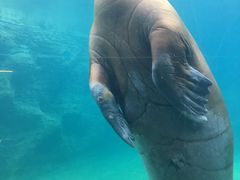 -珠海长隆海洋王国