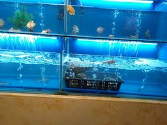 水产区-芭菲盛宴·环球美食(北城国际店)