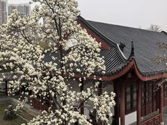 -堤角公园