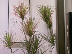 -谧境·爱SPA(春熙路店)