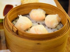 虾饺-添好运点心专门店(深水埗店)