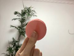 莓果马卡龙-麦当劳(卫星广场店)