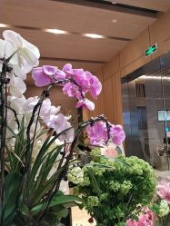 -恒美雅轩·品牌直营连锁