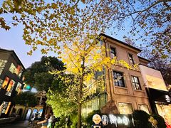 -徐家汇源景区-衡山坊