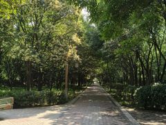 -洛阳市隋唐城遗址植物园