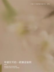 点击看大图 -恒美雅轩·品牌直营连锁