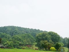 -铁山坪森林公园