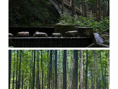 -洛阳白云山景区