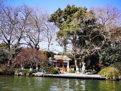 -西湖游船