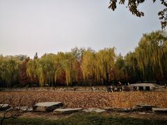 -清真·白记年糕(牛街北口店)
