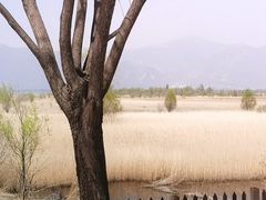 -野鸭湖国家湿地公园