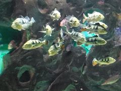 -常州海昌海洋探索馆