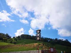 -关山草原