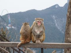 -重庆云阳龙缸景区