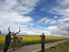 -青海湖国家重点风景名胜区