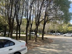 -胜华驾校·小猫学车(银都店)