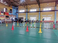 -长春乐奇平衡车儿童体能运动中心