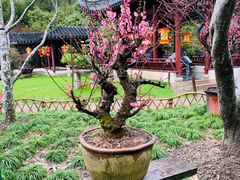 -绮园景区