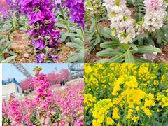 -白沙门生态公园