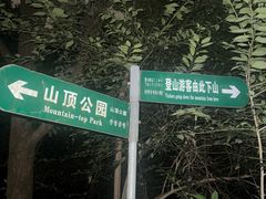 -紫金山山顶公园