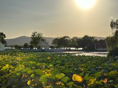 -石湖景区