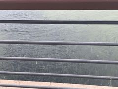 -深圳湾公园(南山区)