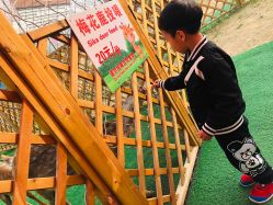 -萌宠亲子动物乐园(槐房万达店)