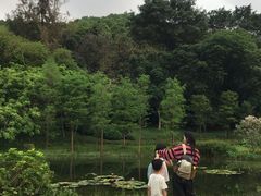 -云溪植物园
