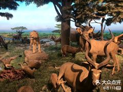 -国家自然博物馆