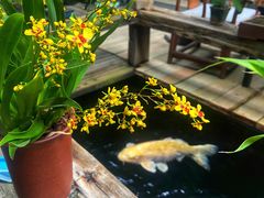 -The Flowers Coffee(南山店)