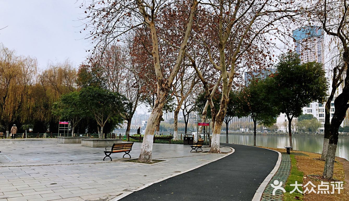 真想穿上跑鞋，沿湖跑几圈