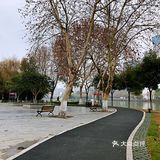 真想穿上跑鞋，沿湖跑几圈