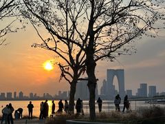 -金鸡湖景区