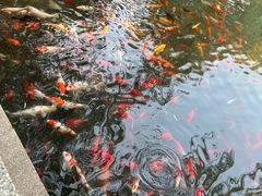 -济南大明湖景区