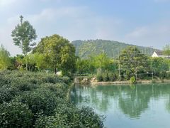 -树山生态村