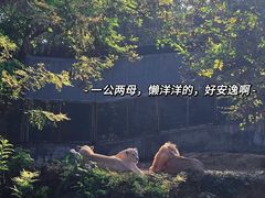 -石家庄市动物园