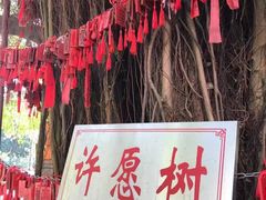 -江门古兜温泉小镇