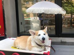 -小郭私房菜·海肠捞饭店(学士街店)