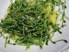 -新天明砂锅鱼头煲