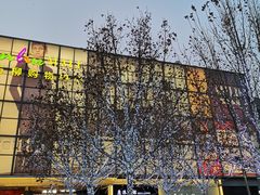 -比格比萨自助(万柳华联店)