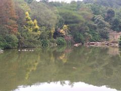 -云溪植物园