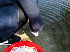 -天王浮山樱花园